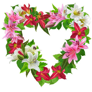 组成形式的心从颜色白色 粉红色和红色的玫瑰，绿叶。孤立。插图