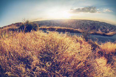 美丽的风景，在阳光下，一幅画上全李安的乾草