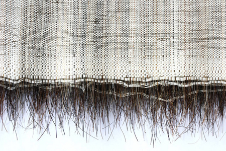 马同长马毛图片