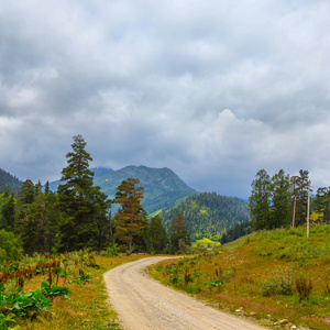 地面道路通过山谷山风景