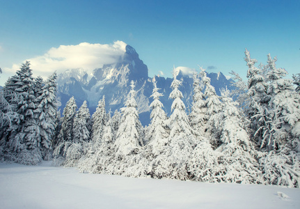 神秘的冬天冬季景观雄伟的山脉。魔术