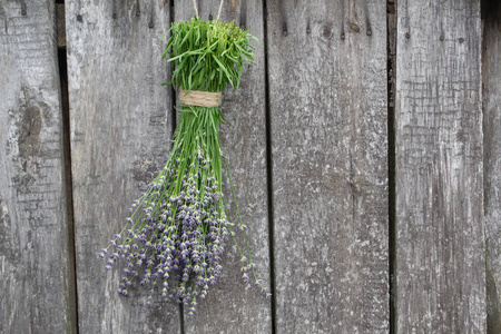 Bunches 薰衣草挂在老木