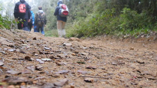 组的森林小径上行走的多种族徒步旅行者。游客们背着背包徒步旅行在山树林的小径。低角度的视图关闭