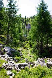 山径三峰 Lavaredo