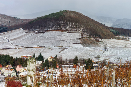 小山与雪的冬季树木美丽边坡