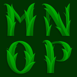 装饰草首写字母 M，N，O P