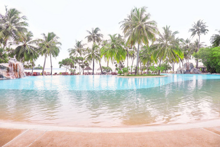 现代酒店内的池和热带棕榈树