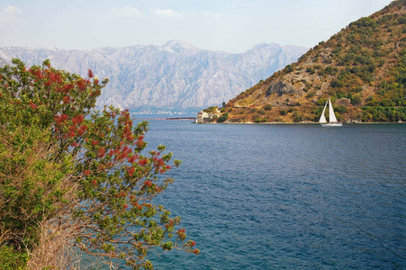 秋季地中海景观。湾的科托尔 亚德里亚海，黑山的视图