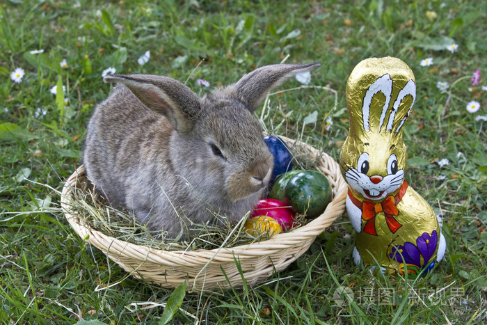 复活节兔子在工作