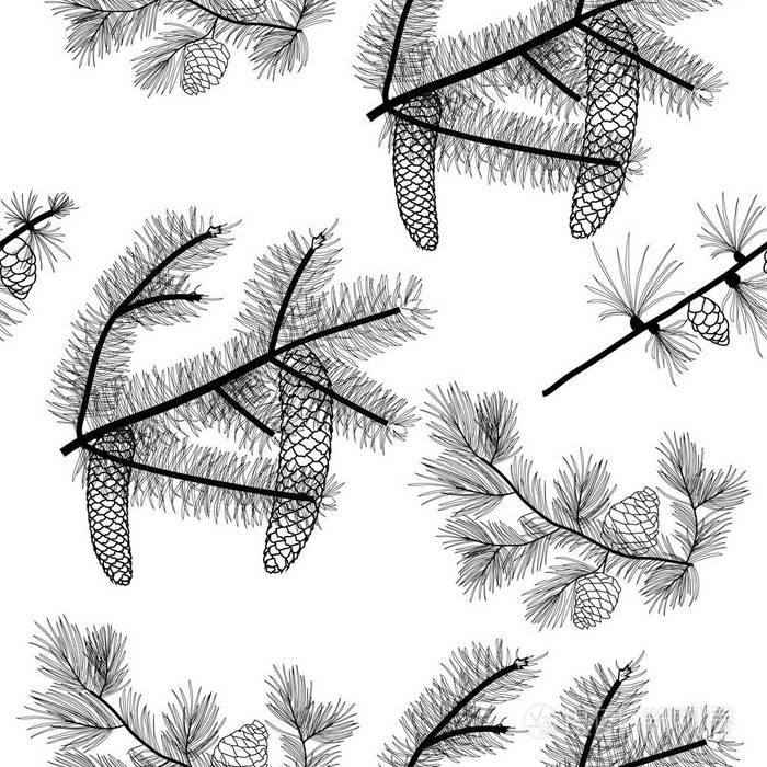 针叶树分支机构无缝模式,黑色的矢量绘图, 透明背景