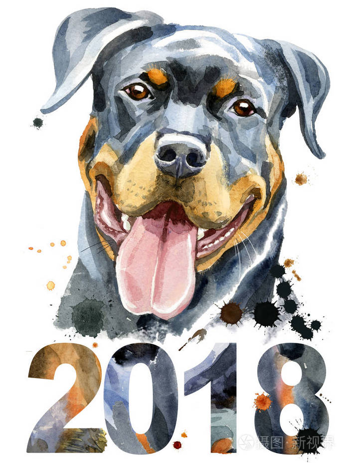 罗威纳犬的水彩肖像