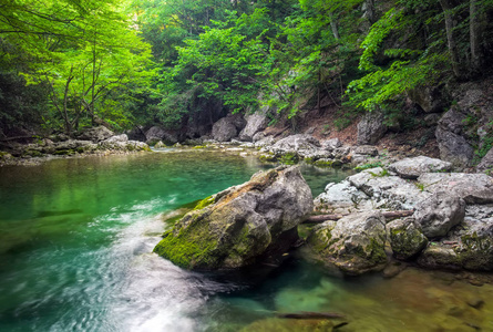 河深藏在山在夏天。水流在森林