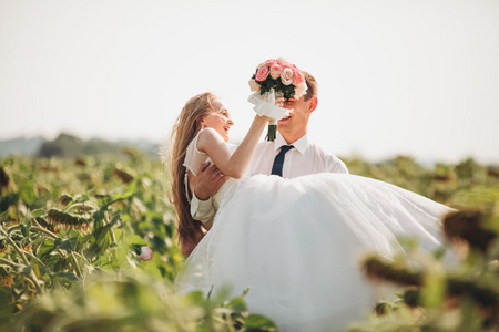 婚礼情侣接吻和构成在字段中的向日葵