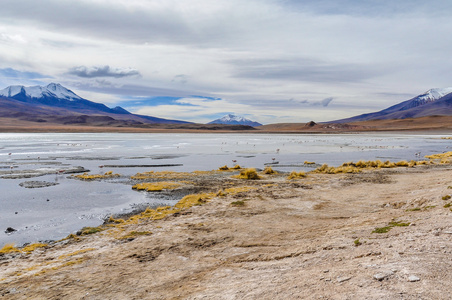 在高的安第斯高原，玻利维亚的多彩泻湖