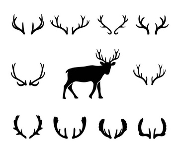 黑色的轮廓的不同种的鹿的角