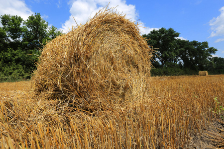 Hayrolls 对作物田