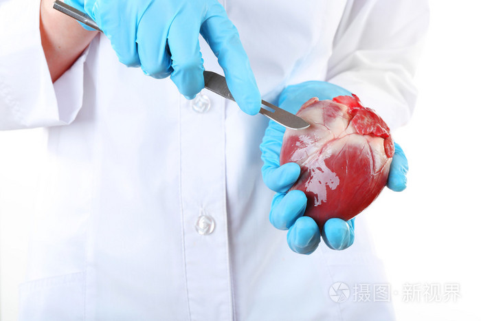 医生抱着心脏器官和手术刀关闭