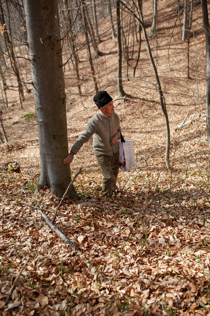 老农夫走出森林
