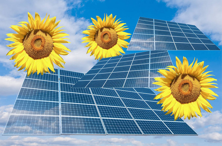 太阳能电池板和向日葵的花