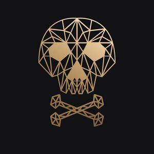 黑色背景上的矢量骷髅照片