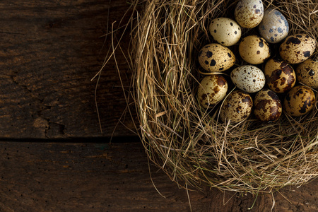 上一个木制的乡村背景鸟巢中的鹌鹑蛋