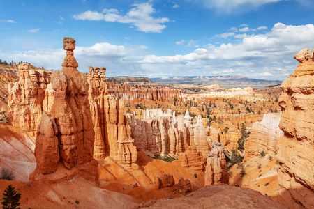 美国西部行布莱斯峡谷图片