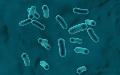 彩色背景下的细菌