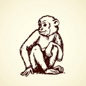 猴子头的铅笔图片