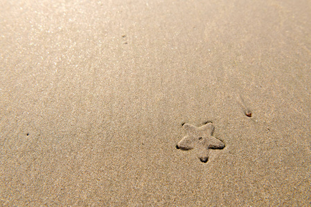 背景在沙滩上的海星