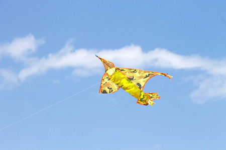 风筝在天空中飞翔图片