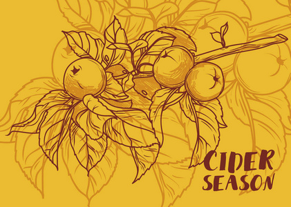 苹果酒季节与美丽图形树的枝头上苹果的海报