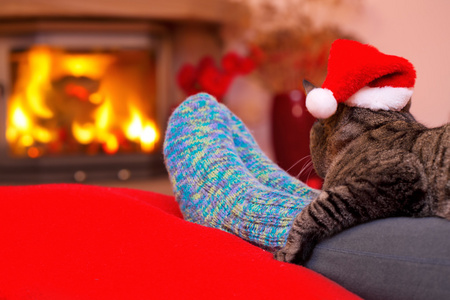圣诞节在壁炉旁的猫图片