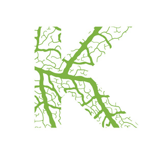 自然字母表生态装饰字体大写字母 K 满满的叶静脉模式绿色