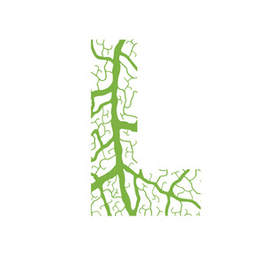 自然字母表生态装饰字体大写字母 L 满满的叶静脉模式绿色