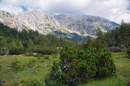 阿尔卑斯山