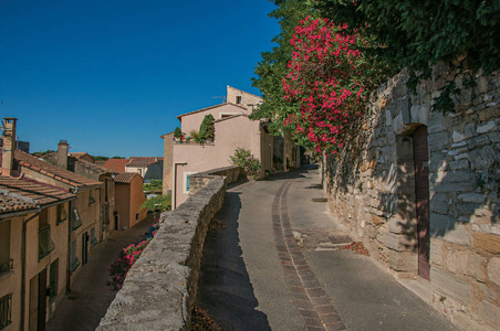 上一条街道以日出，在 Chateauneuf德加传统的石头房子和花视图