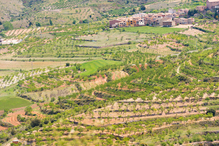 森林和山在西班牙加泰罗尼亚省的看法。顶视图