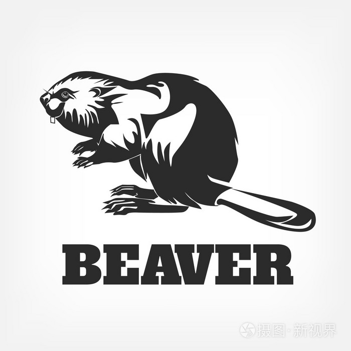 河狸.黑色的矢量图