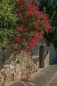 上一条街道以日出，在 Chateauneuf德加传统的石头房子和花视图