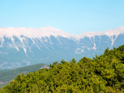 山和森林