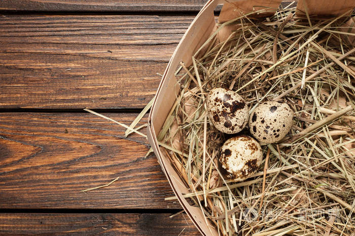 鹌鹑蛋在一根稻草窝在老木背景顶视图