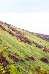 日本秋季 Mt.Nasu,tochigi,tourism