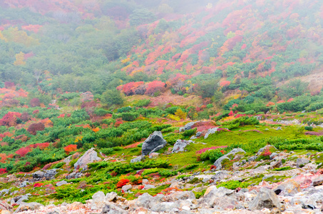 日本秋季 Mt.Nasu,tochigi,tourism