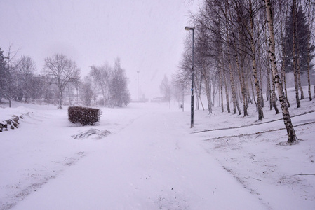 大雪风暴