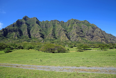 Kualoa 牧场的土路