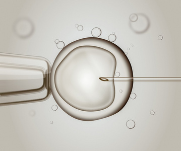 宏的 Ivf 体外受精。受精的人类卵细胞。数码插画