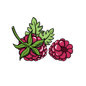 raspberry