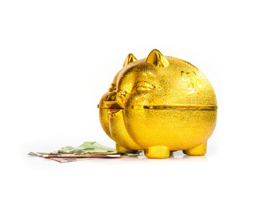 中国黄金猪存钱罐与泰国钱在地板上