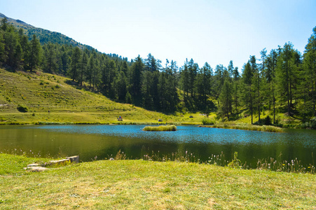 笠图片 笠素材 笠插画 摄图新视界