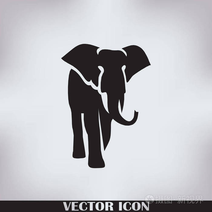 大象的轮廓web图标